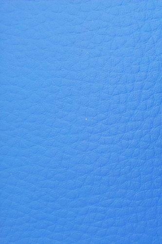 Niro Sportgeräte Turnmatte Weichbodenmatte Klappbar - Colchoneta de Aterrizaje para Gimnasia (Plegable), Color Azul, Talla 180 x 80 x 6.1 cm