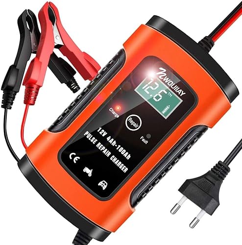 NWOUIIAY Cargador Batería Inteligente 12V 6A, Múltiples Protecciones con LCD Pantalla Apto para 12V Baterías de Coche ATV SUV Moto Cortacésped