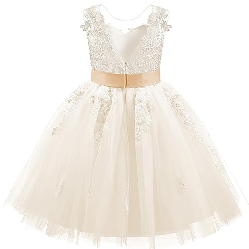 PLWEDDING Encaje V Volver Tul Vestido De Niña De Flores Junior Niñas Dama De Honor Boda V, champán, 2-3 Años
