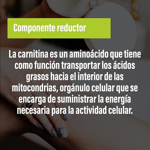 POWERGYM | Crema Reductora 200 ml Combate la Grasa de las Zonas más difíciles – Formula con L-Carnitina ¡Mayor efecto QUEMAGRASAS! – Combate la celulitis + Reafirma la Piel