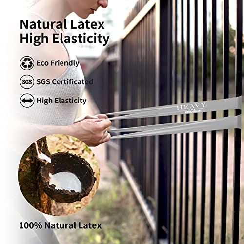 PROIRON Bandas Elasticas de Fitness/Bandas de Resistencia, [Set de 3] Cintas Elásticas de Resistencia Hechas de Látex Natural y la Piel-amistosa con Guía de Ejercicios y Bolsa Almacenamiento