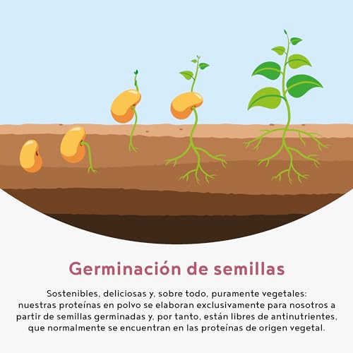 Proteína Vegana - Sabor a Yogur de Frambuesa. 600 gr - Proteína Vegetal de Soja, Arroz, Guisante y Semillas Germinadas - Vegan Protein con Estevia - Alto Contenido en Proteínas para Masa Muscular