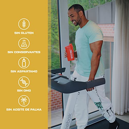 Scitec Nutrition Protein Delite Shake Producto alimenticio en polvo con trozos piña liofilizados, proteína, L-carnitina, extracto de café verde, 700 g, Vainilla-Piña