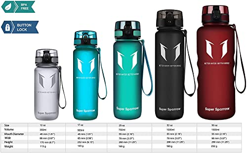 Super Sparrow Botella de Agua Deportiva - 350ml - Sin BPA (Mate- Cristal Marino)