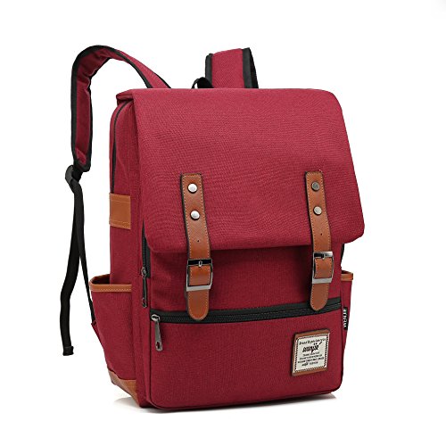 TEIMOSE J013 Mochila Portátil Casual del Trabajo Diario Camping Viaje, Mochila para Portátil Multiusos Daypacks con Puerto de Carga USB (wine red)