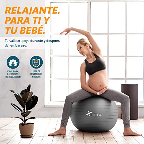 TRESKO® Pelota de Gimnasia Anti-Reventones | Bola de Yoga Pilates y Ejercicio | Balón para Sentarse | Balon de Ejercicio para Fitness | 300 kg | con Bomba de Aire | Púrpura | 85cm