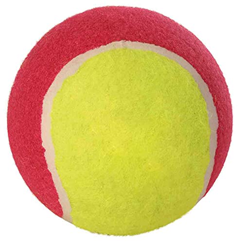 Trixie 3476 12 pelotas de tenis, diámetro 10 cm, surtidas