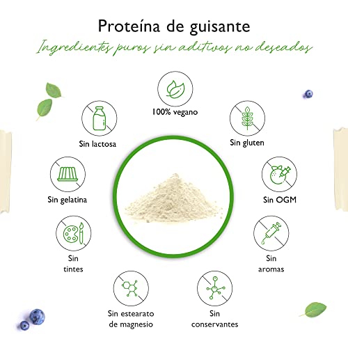 Vit4ever Proteína aislada de guisante en polvo 1,1 kg / 1100 g - 87% de contenido proteico - 100% pura - Origen Bélgica - Vegano - Sin gluten, soja ni lactosa