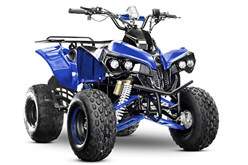 XXL Eco Warrior 8, 1000 W, 48 V, quad eléctrico, Midiquad, Atv, para niños, Midi